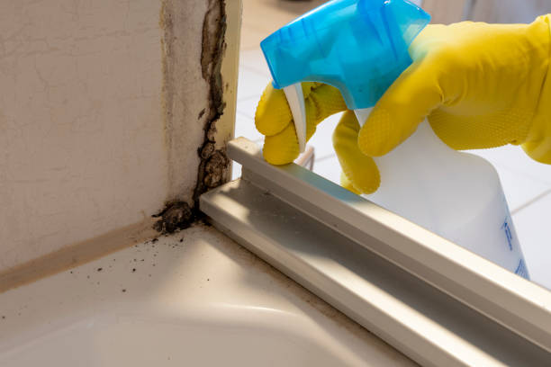 Mold Remediation for Vacation Homes in Burns Harbor, IN